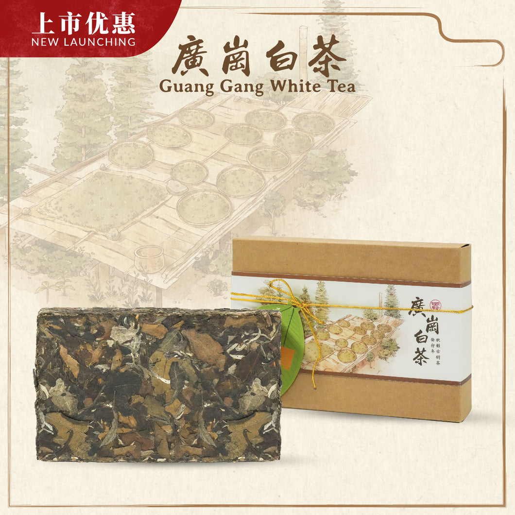 Autumn 2023 Guang Gang White Tea Brick 250g