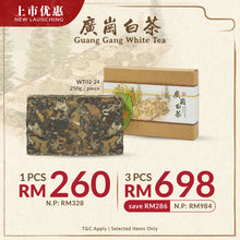 Load image into Gallery viewer, Autumn 2023 Guang Gang White Tea Brick 250g
